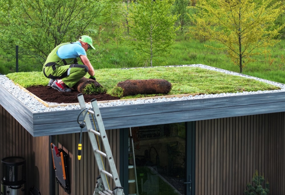 Een Dak Vergroenen Dit Zijn De Opties Garmundo nl een-dak-vergroenen-dit-zijn-de-opties-garmundo-nl