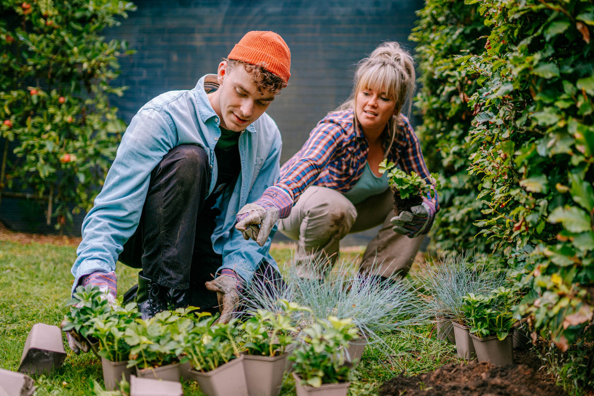 Image 39571853836563 Image 39571853836563