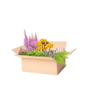 Borderpakket onderhoudsarm