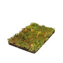 Mix met 7 Sedum soorten plantenmat