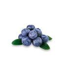 Blauwe bes 'Bluecrop'