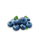 Blauwe bes 'Goldtraube'